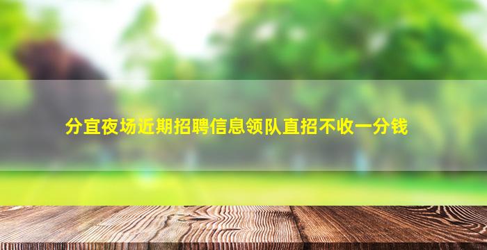 分宜夜场近期招聘信息领队直招不收一分钱